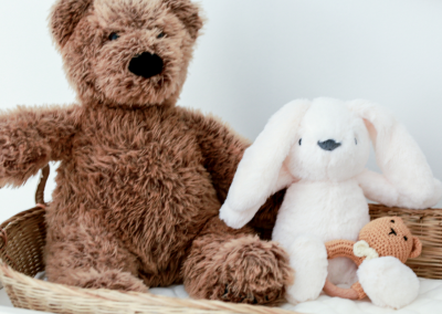 Gấu bông Teddy - những sự thật thú vị mà bạn chưa biết đến