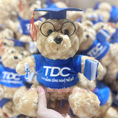 GẤU BÔNG TEDDY TỐT NGHIỆP ĐẠI HỌC HỢP ĐỒNG