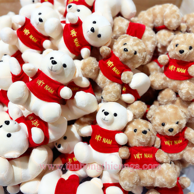 GÂU BÔNG TEDDY VIỆT NAM