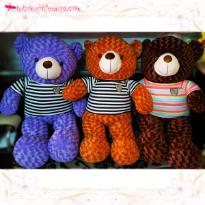 Gấu bông Teddy