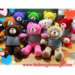 Gấu bông teddy giá sỉ