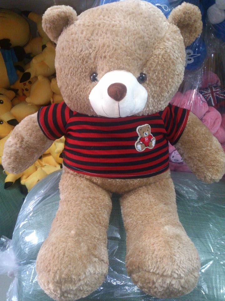 Teddy áo thun lông râu bắp new