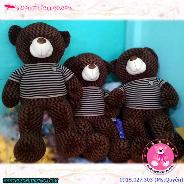 Gấu bông Teddy 1,8m