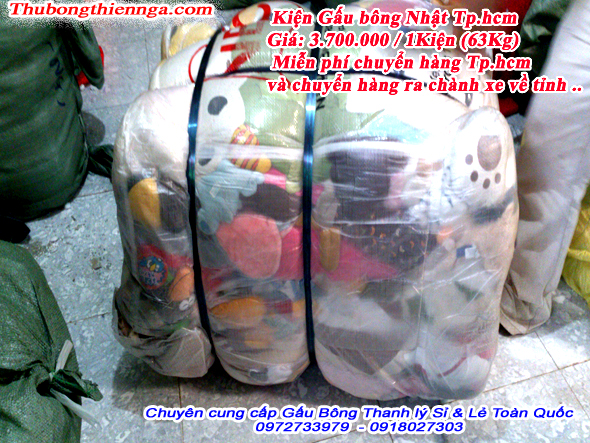 kien thu nhoi bong sida