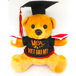 Gấu bông tốt nghiệp thêu logo trường anh ngữ Viet Au My