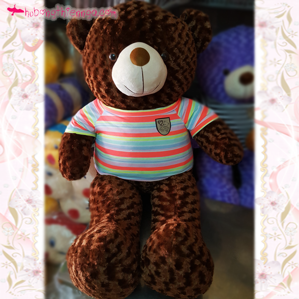 Gấu Bông teddy nơ món quà dành tặng người thân.