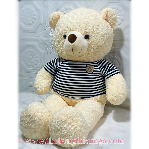 xuong gau bong teddy